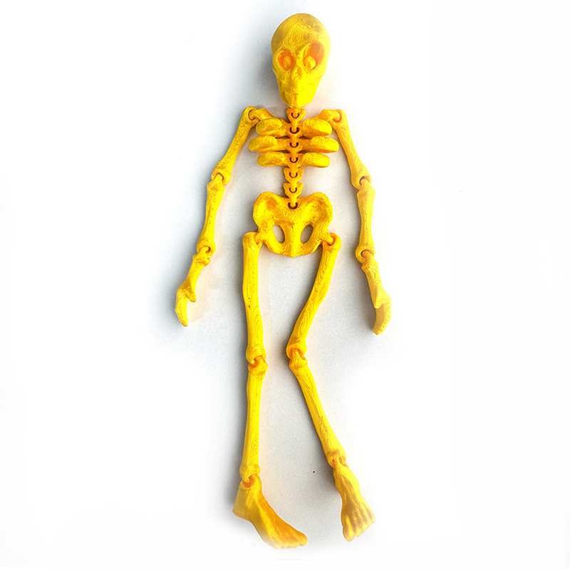 Vintage Skeleton Fridge Magnet