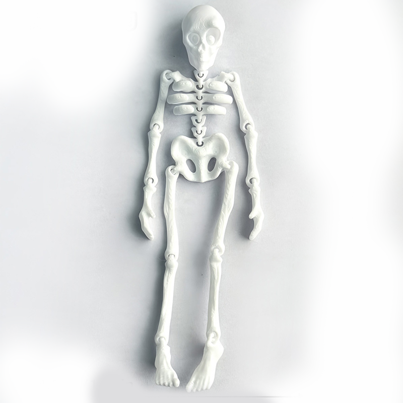 Vintage Skeleton Fridge Magnet