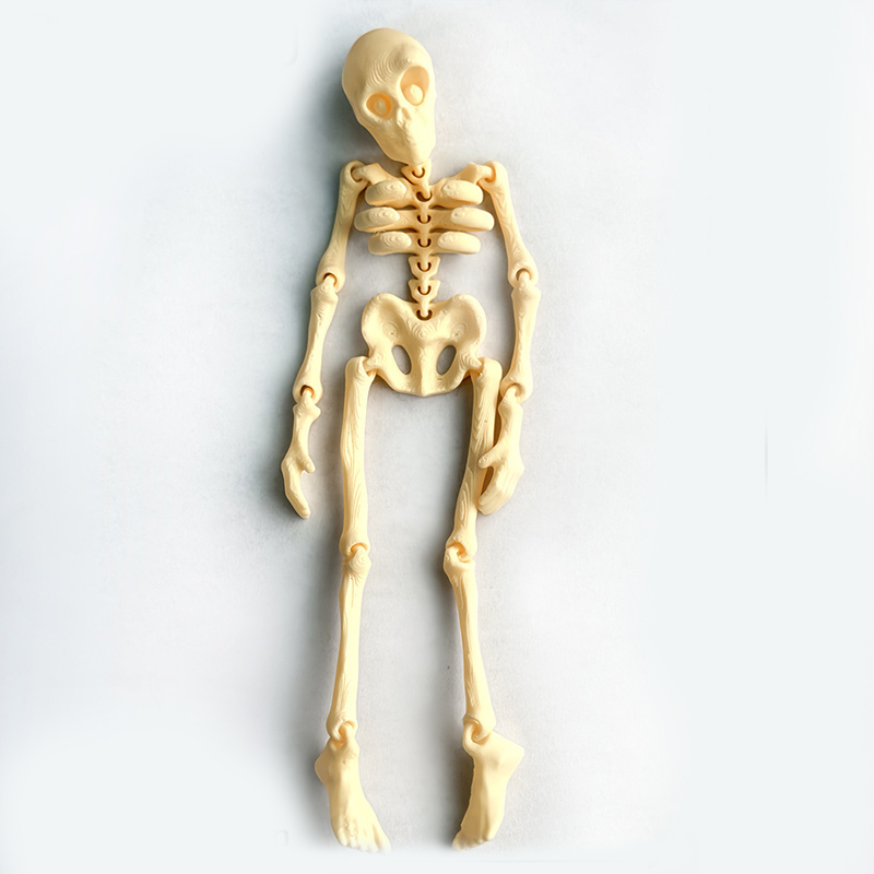 Vintage Skeleton Fridge Magnet