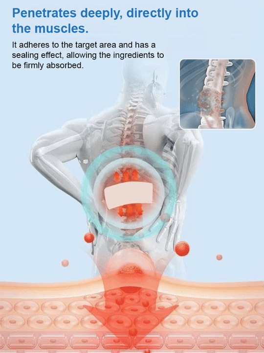 Universal Moxibustion Plaster Patch for Whole Body