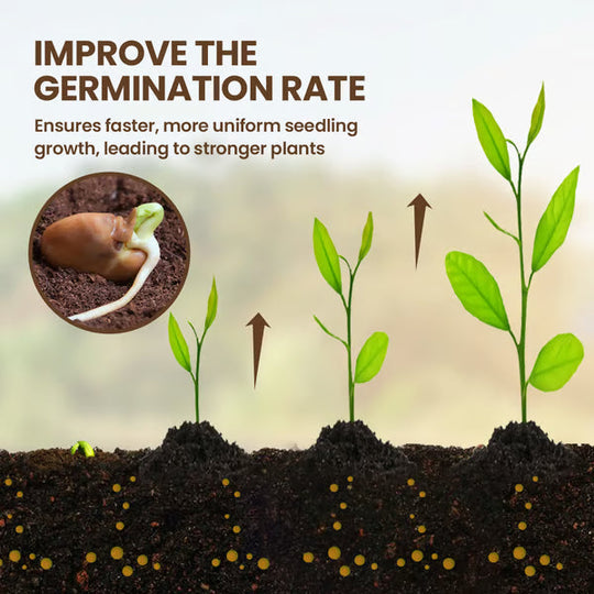 🔥Seasonal Promotion🔥Yegbong® Soil Pro Activator