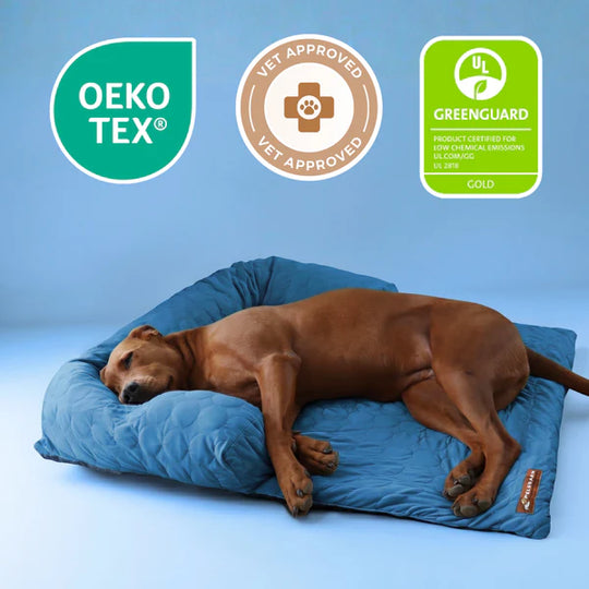 📢📢50% OFF & Free shipping ⏰Cooling Dog Bed