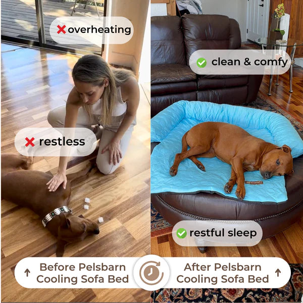 📢📢50% OFF & Free shipping ⏰Cooling Dog Bed