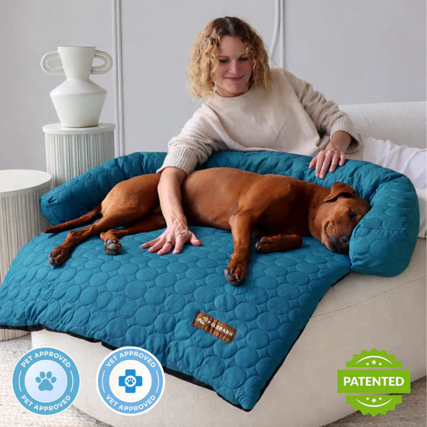 📢📢50% OFF & Free shipping ⏰Cooling Dog Bed