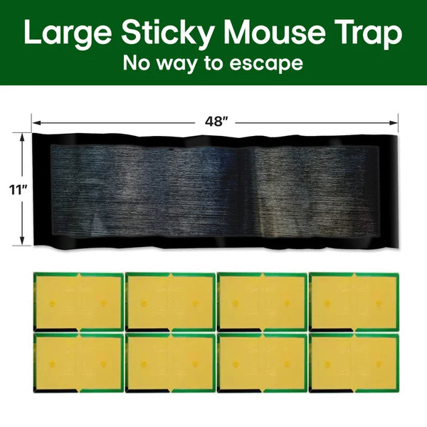 🐭Large Sticky Mouse Trap💪