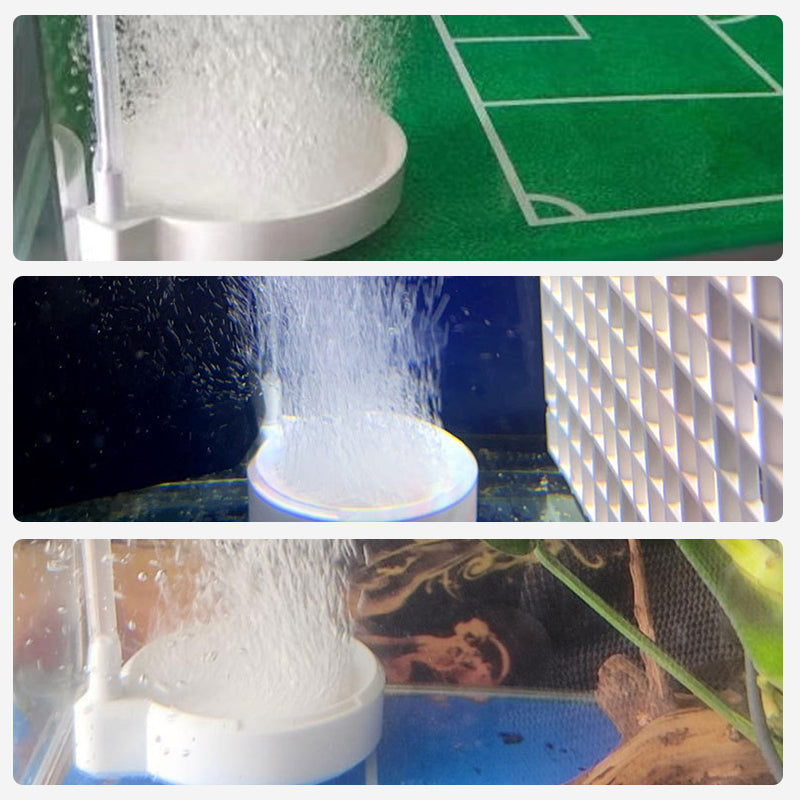 Zivju tvertnes skābekļa padeves plāksne