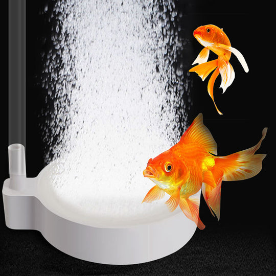 Zivju tvertnes skābekļa padeves plāksne