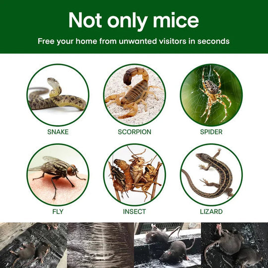 🐭Liels lipīgs peļu slazds💪