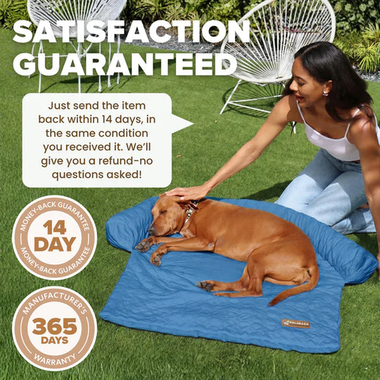 📢📢50% OFF & Free shipping ⏰Cooling Dog Bed