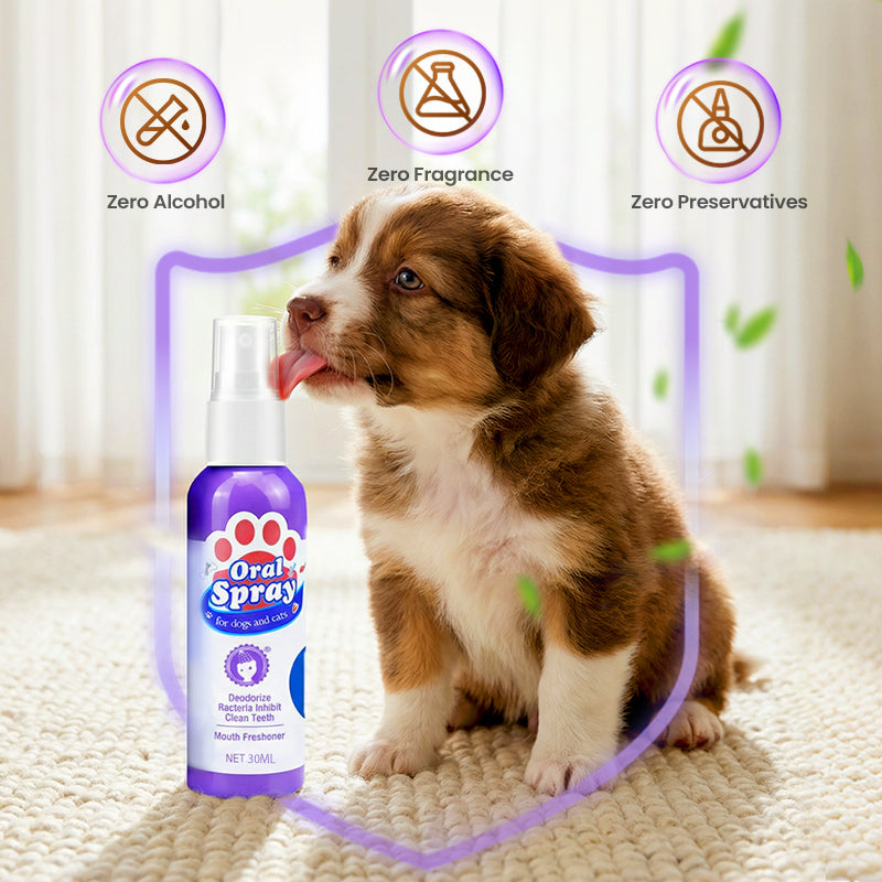 Buy 2 get 1 free🎁No-Brush Pet Dental Care Spray