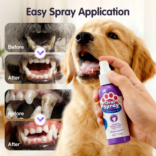 Buy 2 get 1 free🎁No-Brush Pet Dental Care Spray