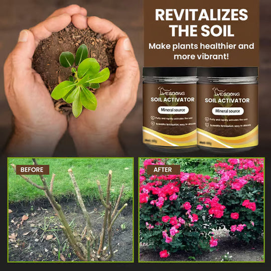 🔥Seasonal Promotion🔥Yegbong® Soil Pro Activator