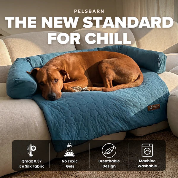 📢📢50% OFF & Free shipping ⏰Cooling Dog Bed