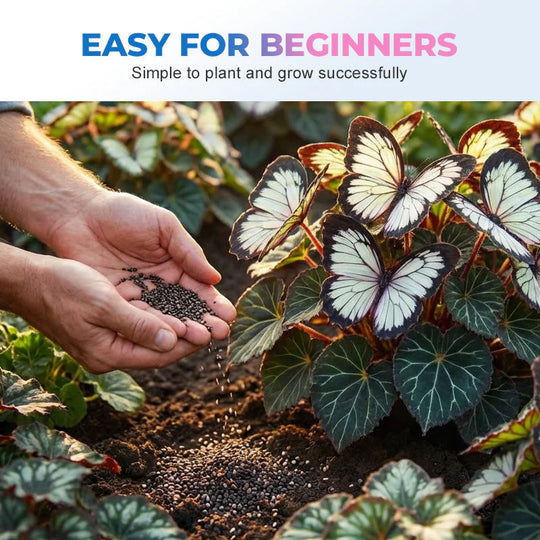 🦋 Whimsical Butterfly Shaped Flower Seeds ✨