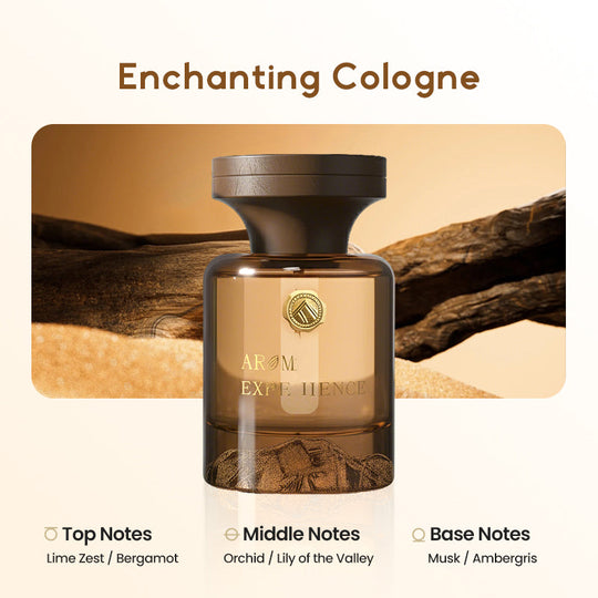 Limited Time Offer🌹Botanical Fragrance Car Oil Diffuser✨