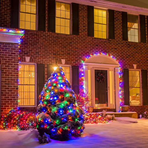 ✨Multi-Colored Christmas Mini String Lights🏡