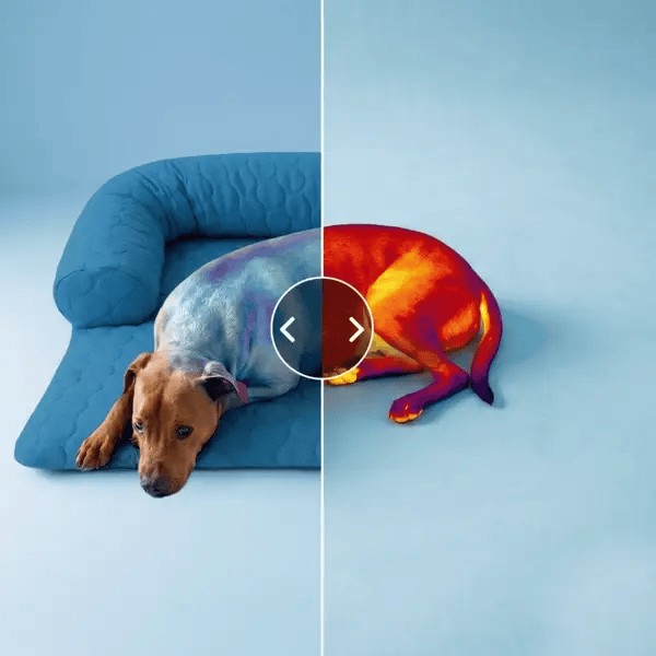 📢📢50% OFF & Free shipping ⏰Cooling Dog Bed