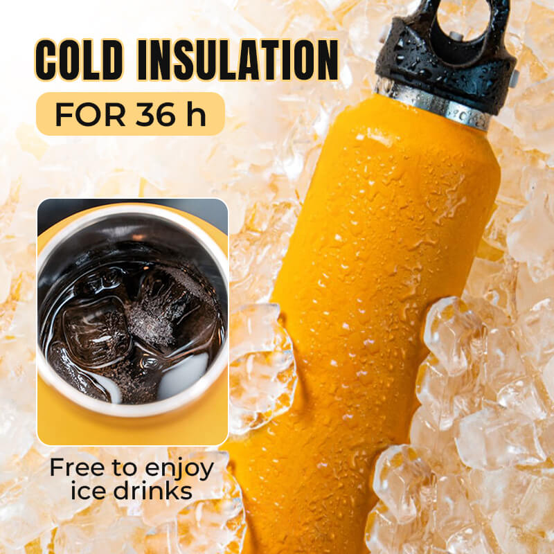 All Steel 36h Insulation Cup