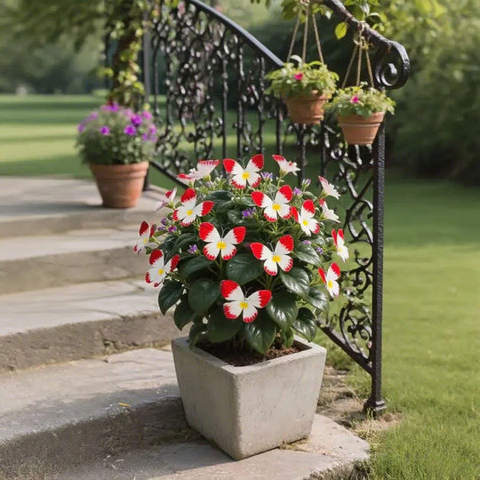🦋 Whimsical Butterfly Shaped Flower Seeds ✨