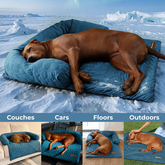 📢📢50% OFF & Free shipping ⏰Cooling Dog Bed