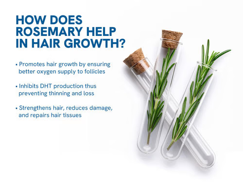 Be Bodywise Advanced Hair Growth Roll-On Serum | 3% Rosemary | 2% Aminexil | 3% Redensy l 2% Anagain