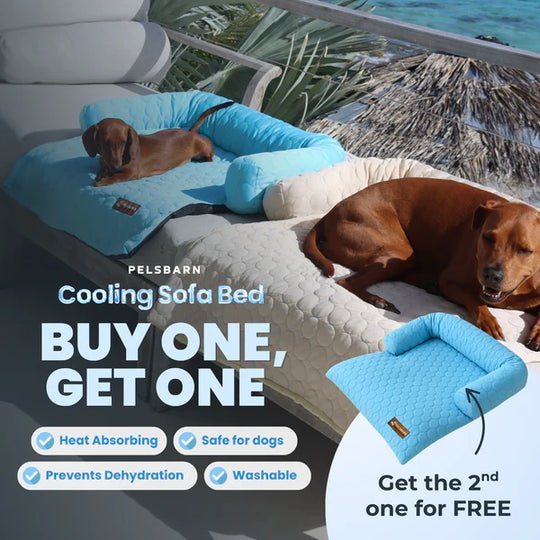 📢📢50% OFF & Free shipping ⏰Cooling Dog Bed