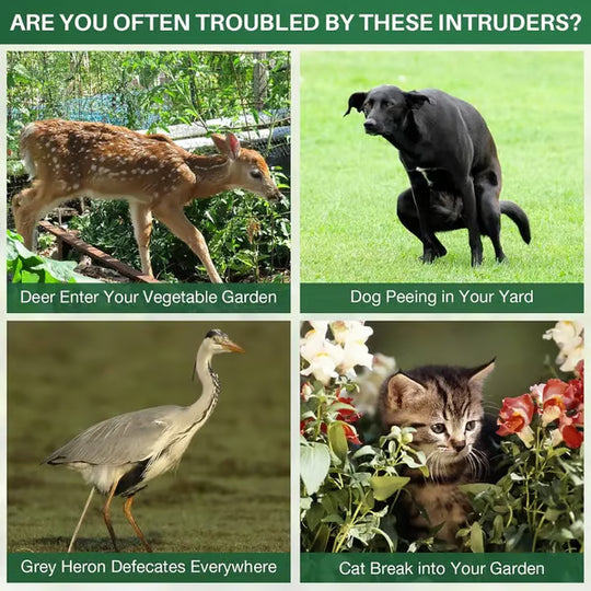 Solar-Powered Animal Repeller, Deer Repellent Devices, Waterproof Ultrasonic Pest Repellent
