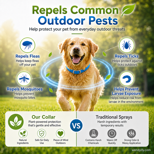 🐾Natural Essential Oil Pet Pest Repellent Collar