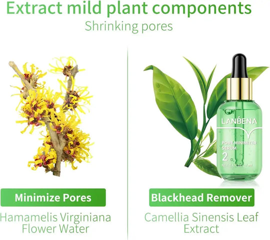 LANBENA Groene Thee Mee-eter Remover 100 vel Neuspore Strips & Pore Minimizer Serum Peel Off Masker voor poriën, neus, kin en gezicht