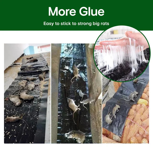 🐭Nagy ragacsos egércsapda💪