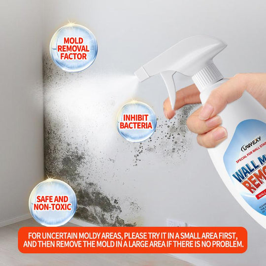 🏠⏳Limited-time 50% off⏰Highly Effective Mould Removal Spray