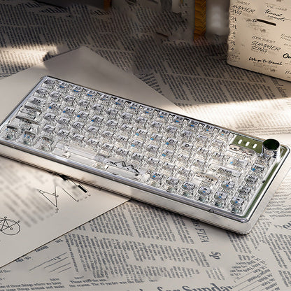 Universal Transparent Mechanical Keyboard with RGB Backlight✈️Free Delivery✈️