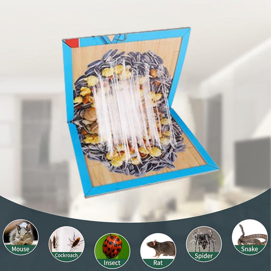 Fácil de instalar, captura ratos em qualquer lugar e a qualquer hora! Ratoeira, a ferramenta de defesa da sua família contra ratos! 📍