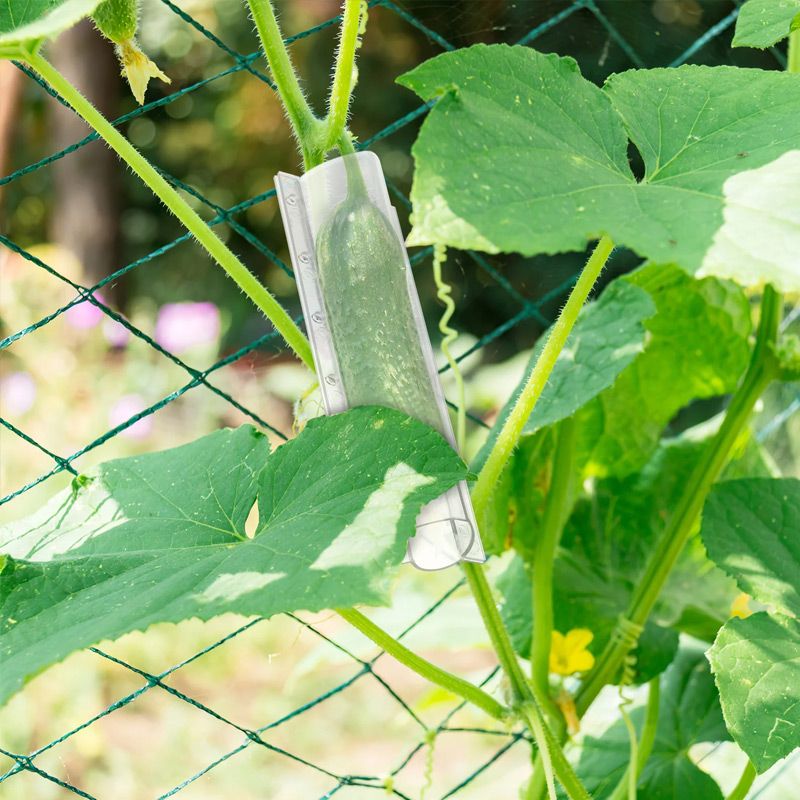 Cucumber Molds for Garden