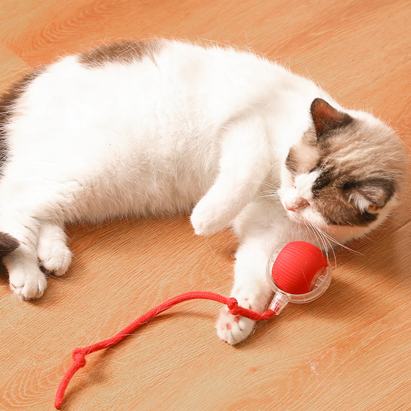 🐱Smart Automatic Rolling Pet Ball🐶