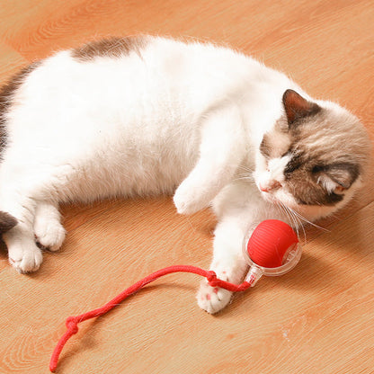 🐱Smart Automatic Rolling Pet Ball🐶