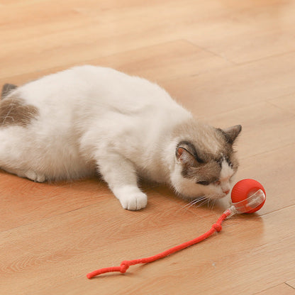 🐱Smart Automatic Rolling Pet Ball🐶