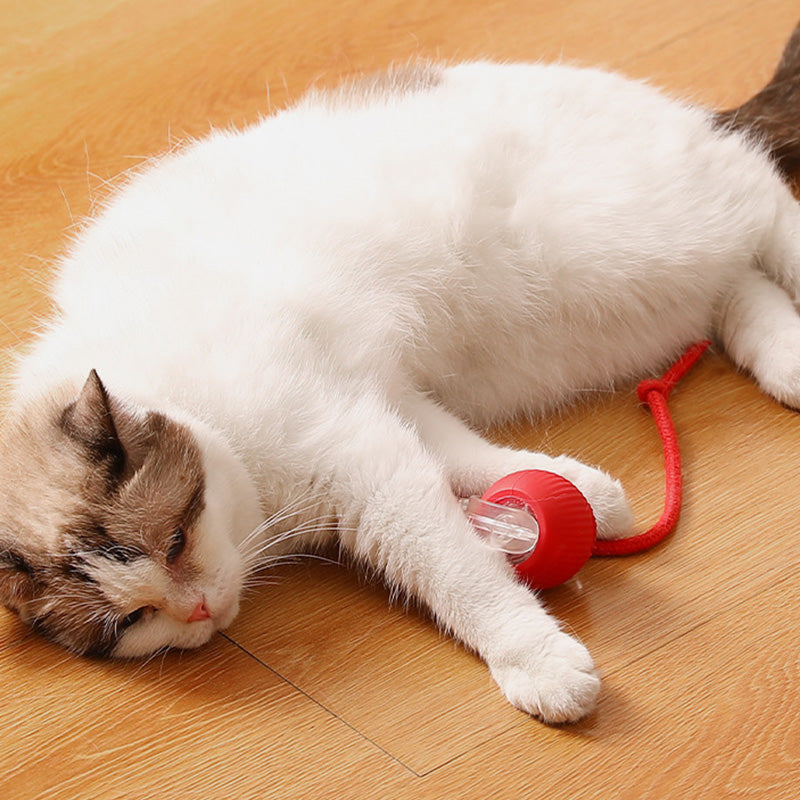 🐱Smart Automatic Rolling Pet Ball🐶