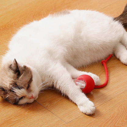 🐱Smart Automatic Rolling Pet Ball🐶