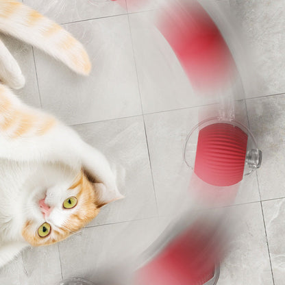 🐱Smart Automatic Rolling Pet Ball🐶