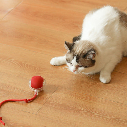 🐱Smart Automatic Rolling Pet Ball🐶