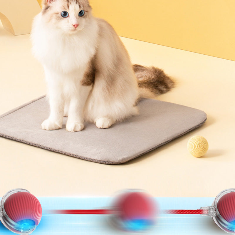 🐱Smart Automatic Rolling Pet Ball🐶