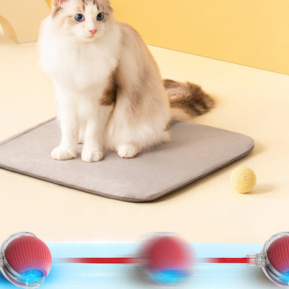 🐱Smart Automatic Rolling Pet Ball🐶