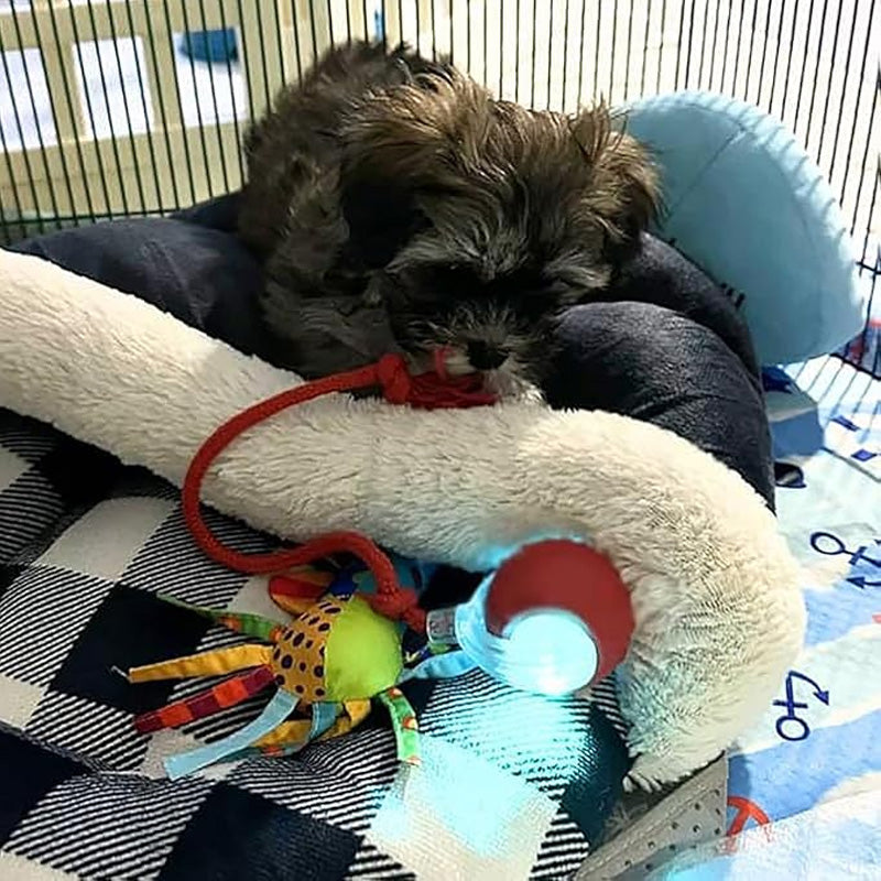 🐱Smart Automatic Rolling Pet Ball🐶