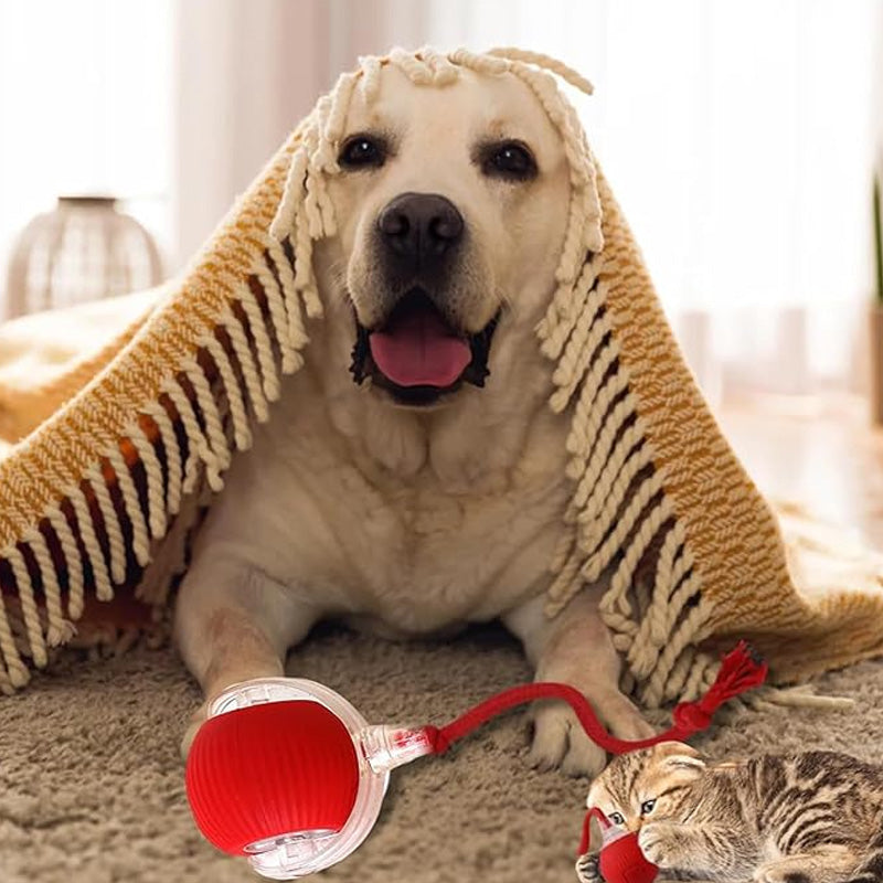 🐱Smart Automatic Rolling Pet Ball🐶