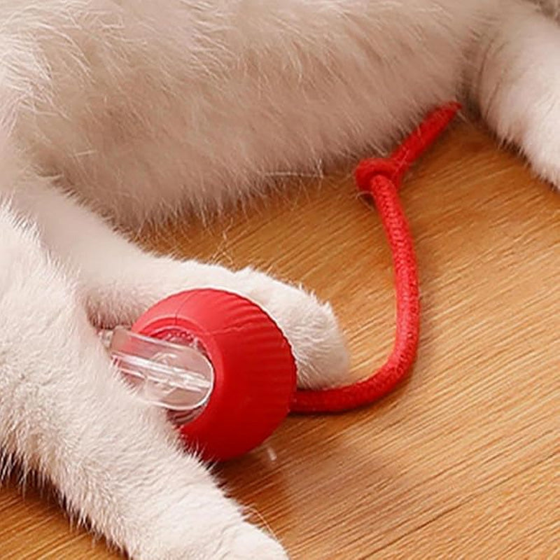 🐱Smart Automatic Rolling Pet Ball🐶