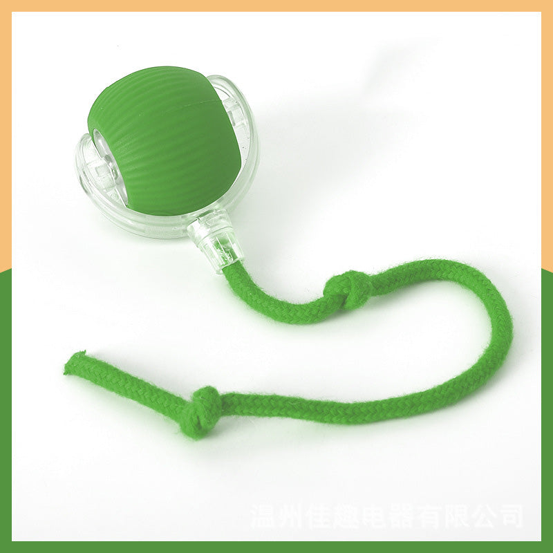 🐱Smart Automatic Rolling Pet Ball🐶