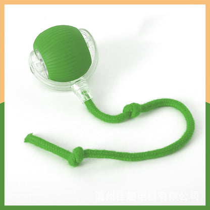 🐱Smart Automatic Rolling Pet Ball🐶