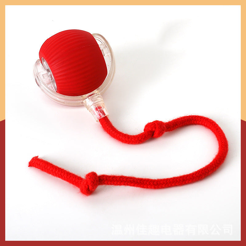 🐱Smart Automatic Rolling Pet Ball🐶