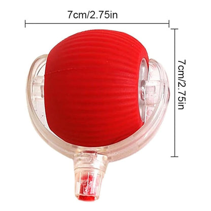 🐱Smart Automatic Rolling Pet Ball🐶